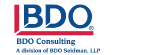 BDO Consulting